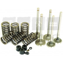 Kit soupapes moteur Ford BSD326, BSD329, BSD332, BSD333 tracteur Ford 2000, 2310, 2600, 2610, 2810, 3000, 3600, 4000, 4600, 4610 tractopelle 333, 335, 550, 555